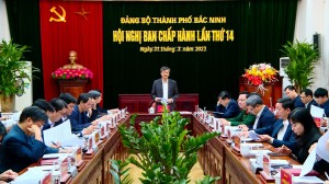 Hội nghị BCH Đảng bộ thành phố Bắc Ninh lần thứ 14
