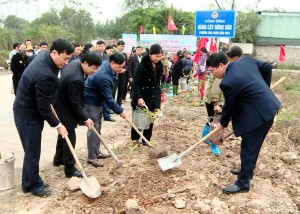 Hội Nông dân thành phố Bắc Ninh hưởng ứng Tết trồng cây