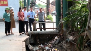 HĐND thành phố giám sát việc thực hiện các quy định của pháp luật về bảo vệ môi trường tại phường Phong Khê