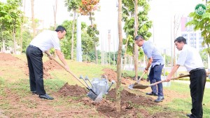 Thành phố Bắc Ninh tiếp nhận bàn giao cây Hoa Ban trắng do tỉnh Sơn La trao tặng