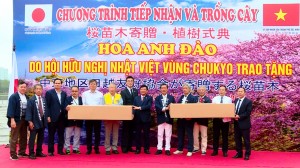 Thành phố Bắc Ninh tiếp nhận và trồng 100 cây hoa Anh Đào tại Công viên hồ điều hoà Văn Miếu