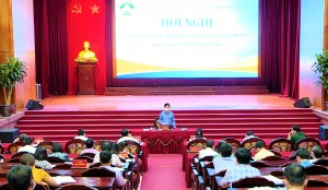 UBND thành phố triển khai các biện pháp  phòng, chống dịch Covid-19 trong tình hình mới