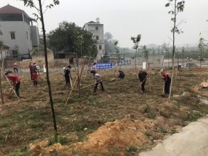 Các cấp Hội Phụ nữ thành phố phát động các phong trào, mô hình hay trong bảo vệ môi trường 