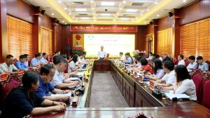 Hội nghị Ủy viên UBND thành phố Bắc Ninh tháng 04/2025