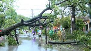 Bí thư Thành ủy Tạ Đăng Đoan kiểm tra khắc phục hậu quả do cơn bão số 3 gây ra