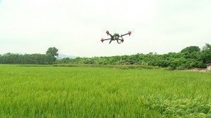 Thành phố Bắc Ninh hỗ trợ nông dân áp dụng khoa học công nghệ vào phát triển sản xuất nông nghiệp