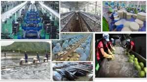 Nghị quyết 68-NQ/TW - Bệ phóng cho kinh tế tư nhân Việt Nam